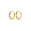 Nilea - Crystal Hoop Earrings Stainless Steel Gull