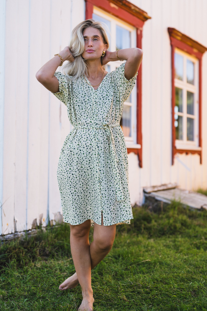Rausastrid 2/4 V Shirt Dress Aop Grønn